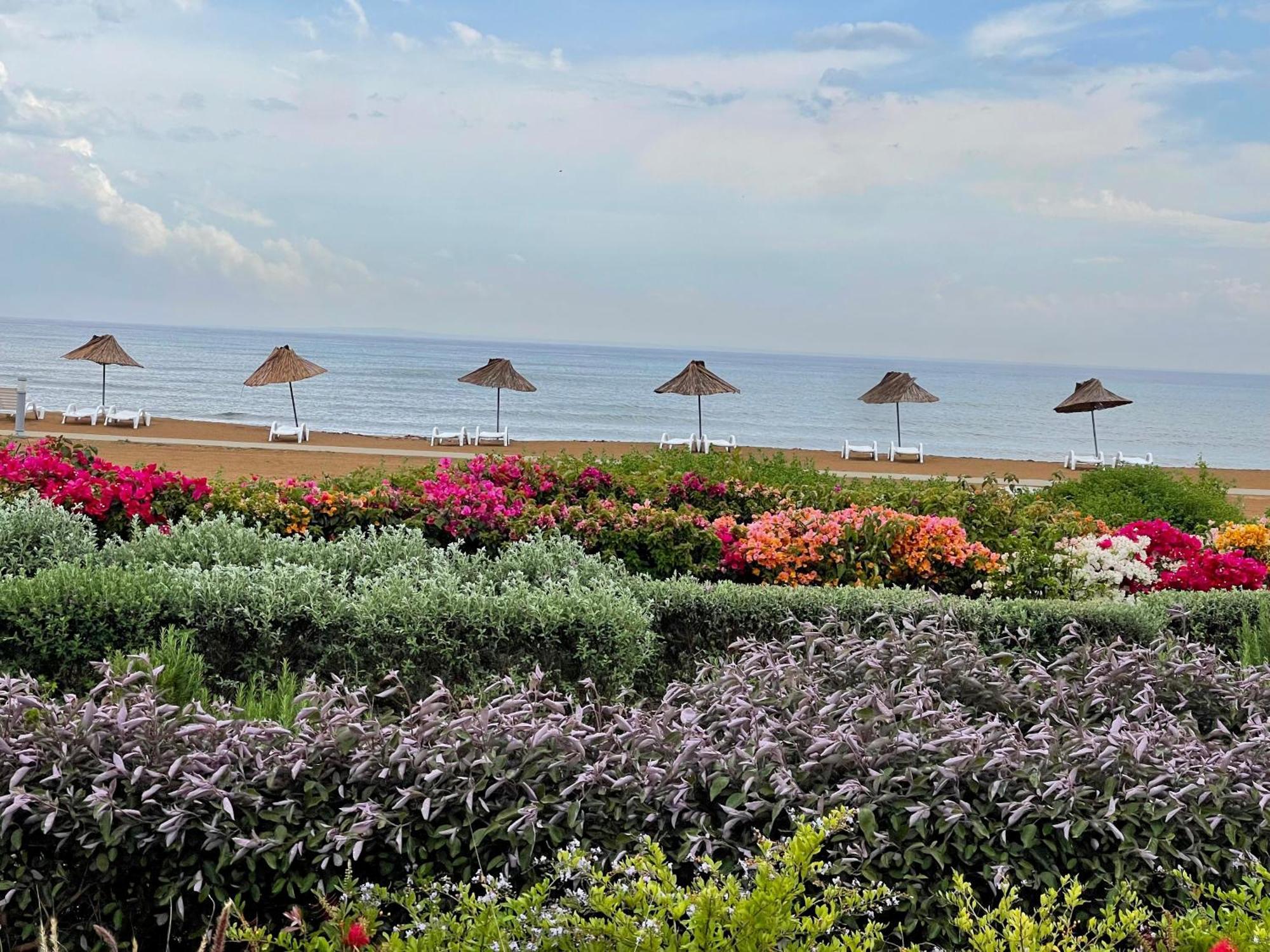 Sweetness Apartment By The Sea Vokolidha Esterno foto